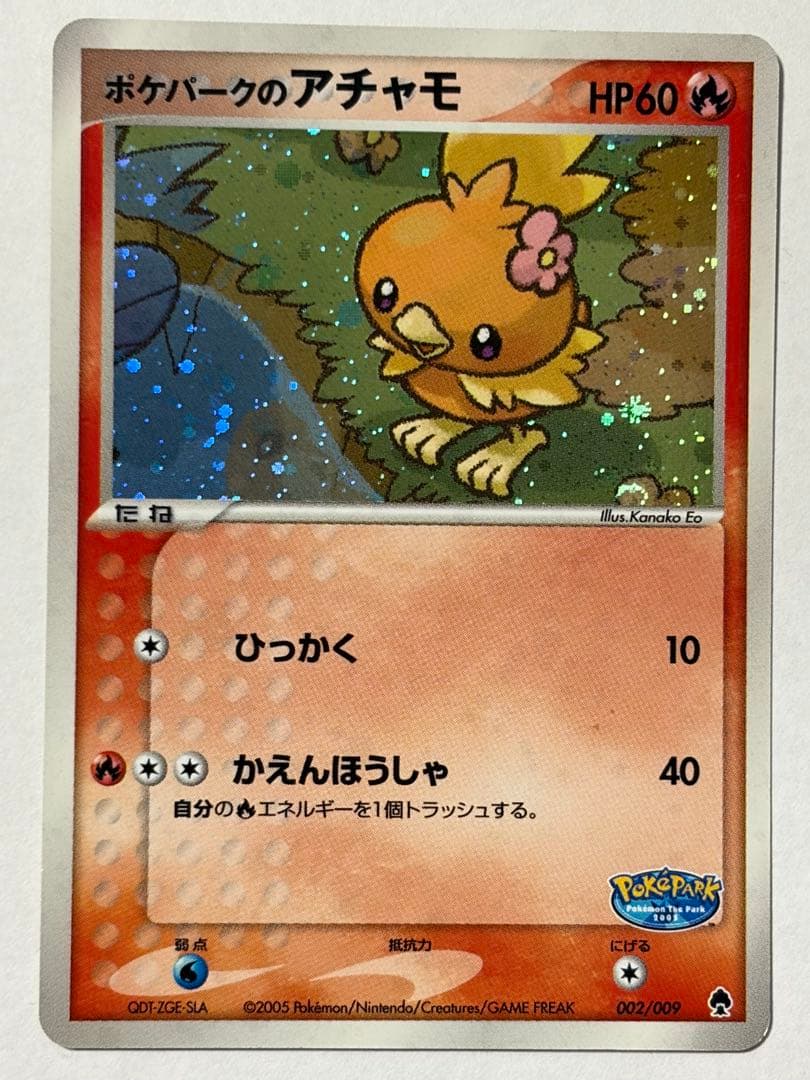 ポケパークのピカチュウ アチャモ ミズゴロウ など9枚セット ポケカ ファイル付