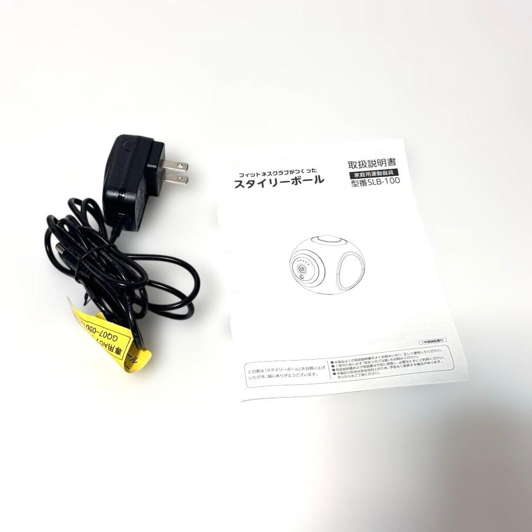 美品 oasis オアシス　スタイリーボール SLB-100 付属品完備