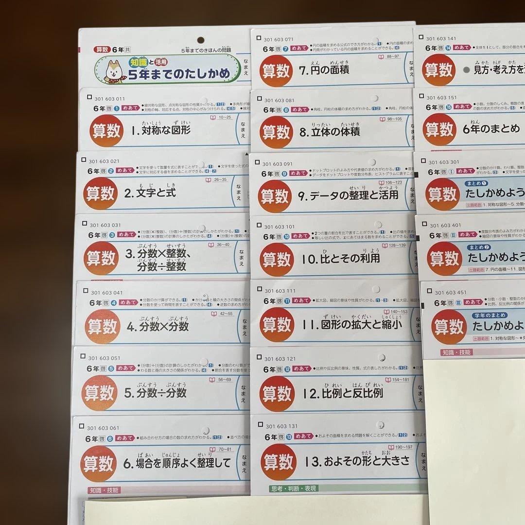 【最新版】小学6年　算数　カラーテスト　令和7年度　１年分