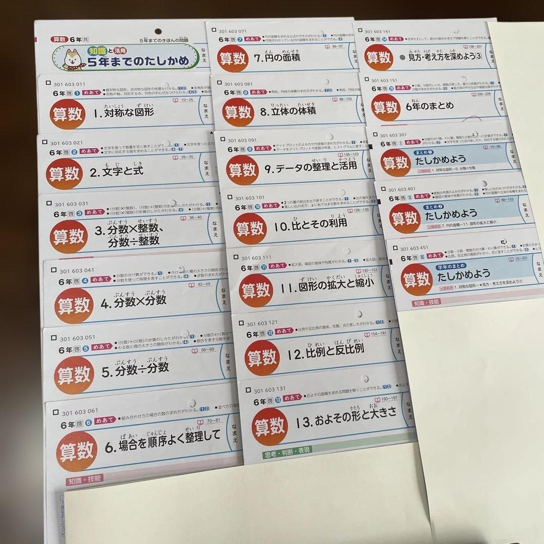 【最新版】小学6年　算数　カラーテスト　令和7年度　１年分