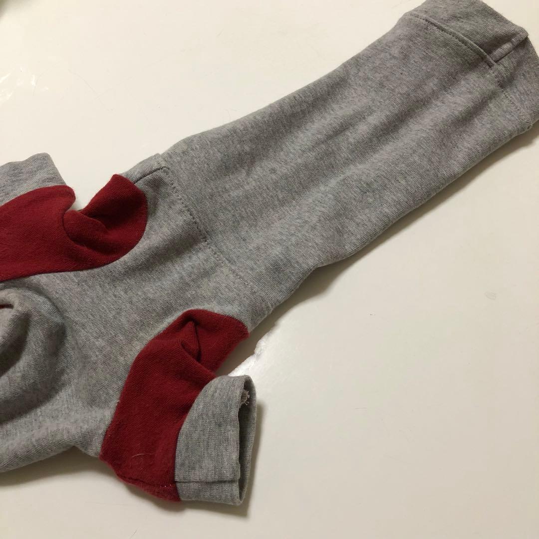 【週末限定値下！】used品　イタリアングレーハウンド用ウェア　6点セット
