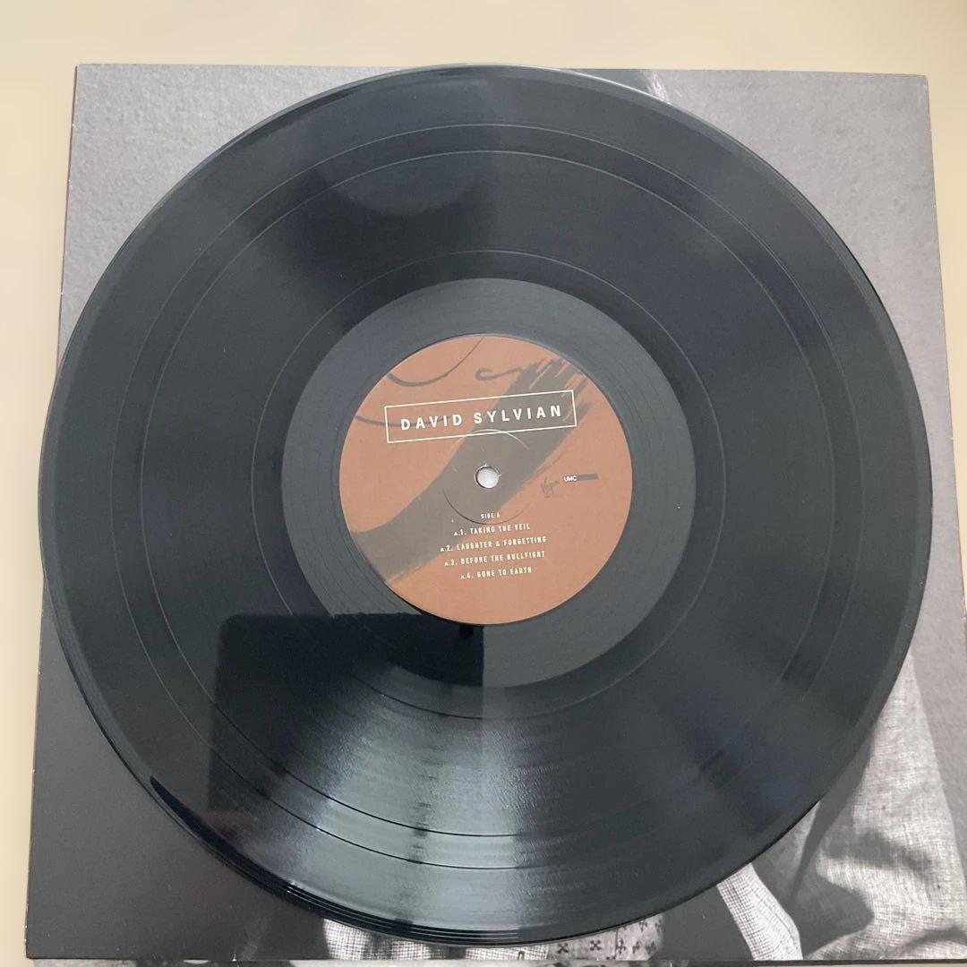 デヴィッド・シルヴィアン　ゴーン・トゥ・アース　2枚組　LP 輸入盤