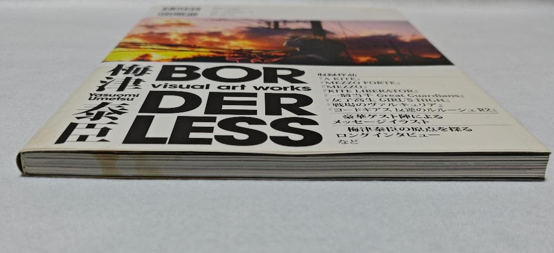 梅津泰臣 visual art works BORDERLESS