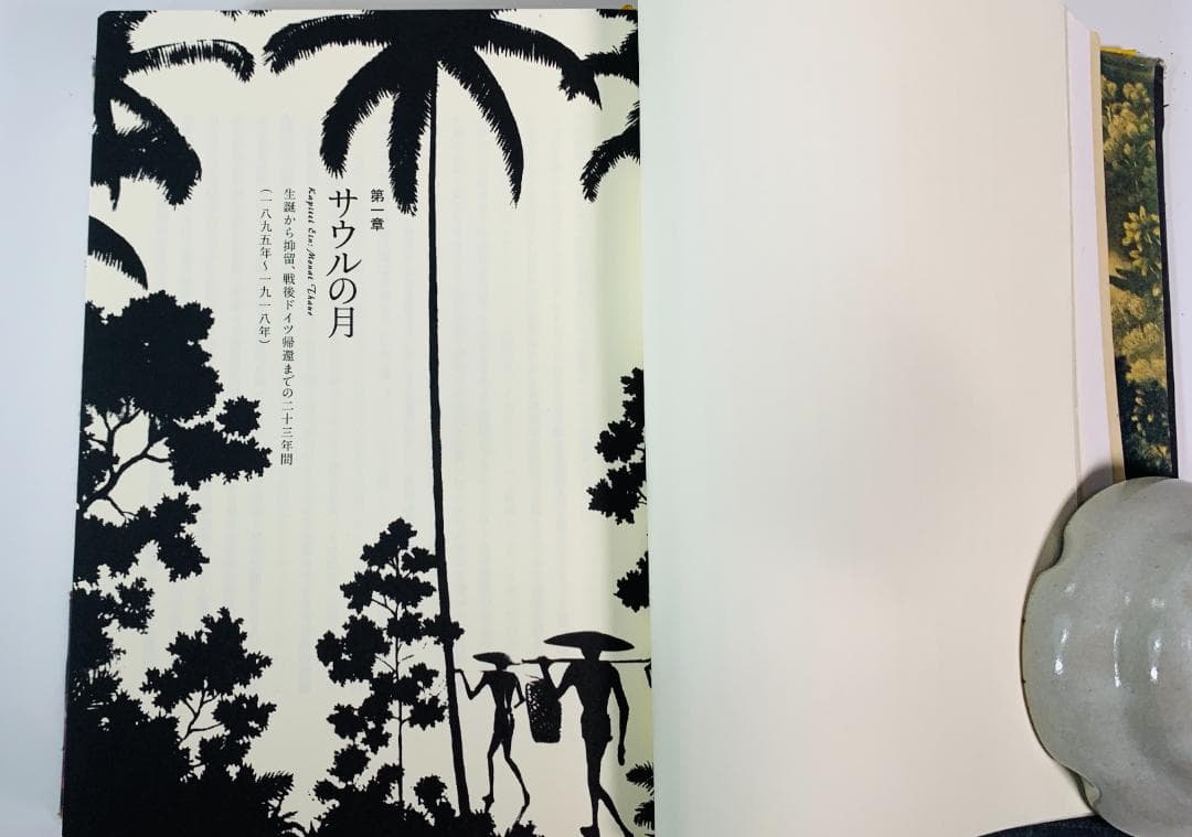 バリ、夢の景色：ヴァルター・シュピース伝