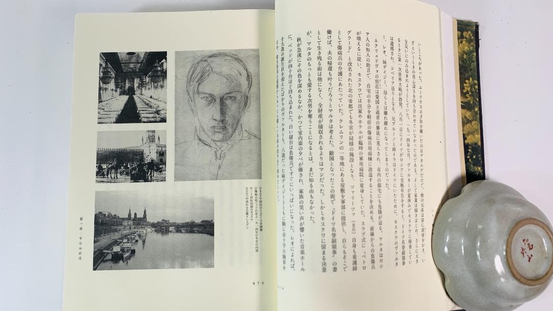 バリ、夢の景色：ヴァルター・シュピース伝