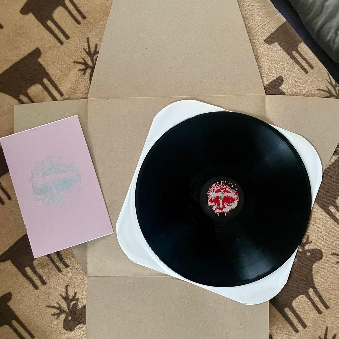 INTEGRITY 12inch レコード 激レア盤 NYHC