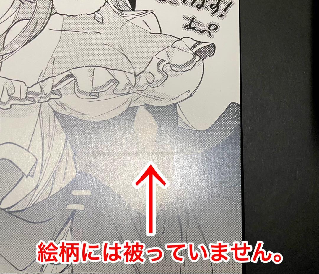 地味な剣聖はそれでも最強です / イラストカード(印刷エラー？・新品未使用品)