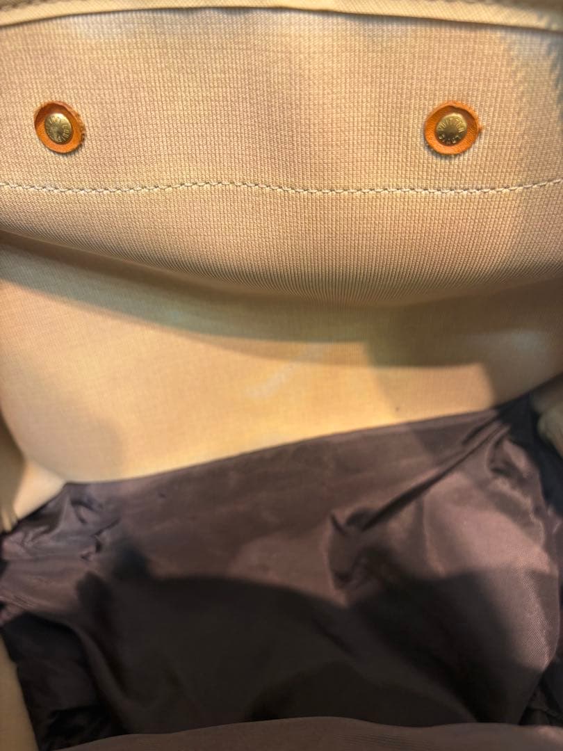 最終値下げ美品 ルイヴィトン モノグラム エヴァジオン