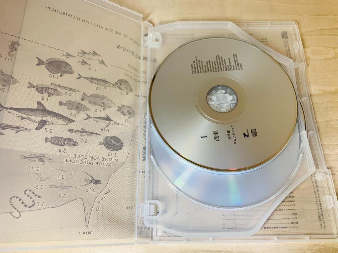 サカナクション「魚図鑑」プレミアム BOX 3CD+魚大図鑑 +特典 ベスト