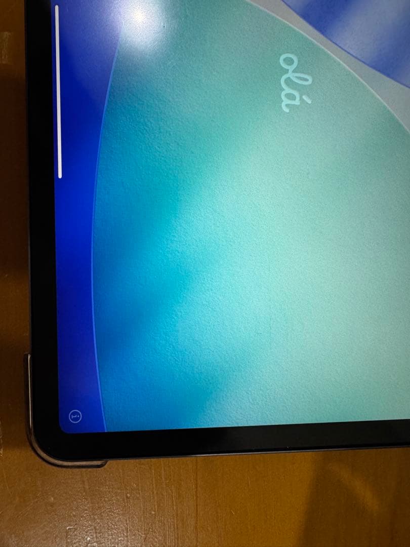 Apple iPad Pro 11インチ　第二世代(3/10までの割引価格)