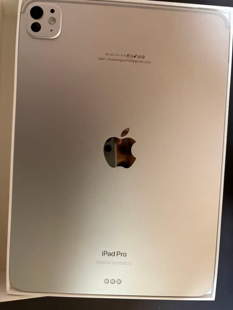 iPad本体 Ipad Pro M4 11 inches