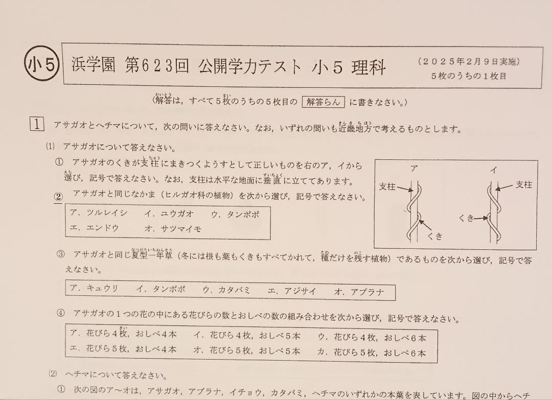 最新版　2025年　小5 浜学園　公開学力テスト　 算数　国語　理科　社会