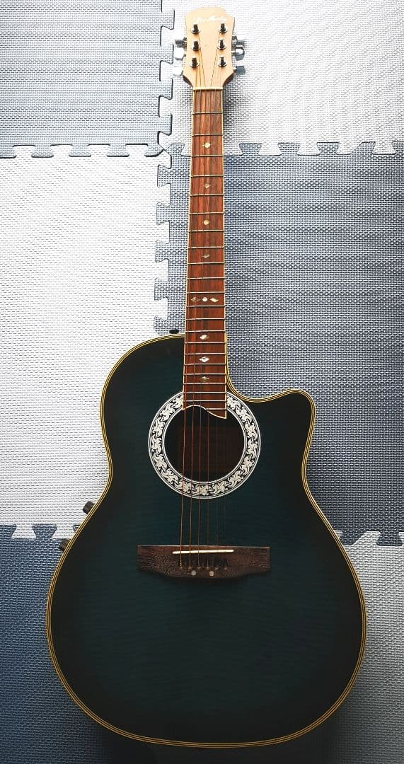 ♦️超レアギター♦️ ProMartin エレアコ EA350BLS ②
