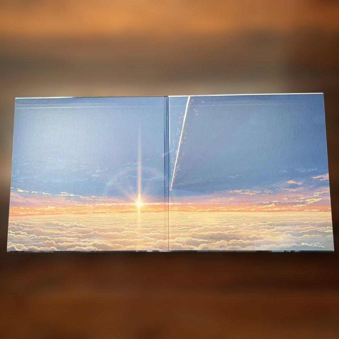 RADWIMPS 君の名は。 LP レコード