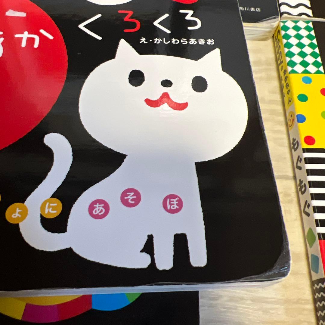 sassy絵本　０歳赤ちゃん絵本セット13冊