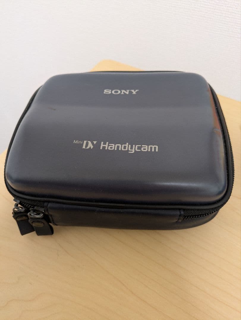 ビデオカメラ SONY HANDYCAM DCR-PC100
