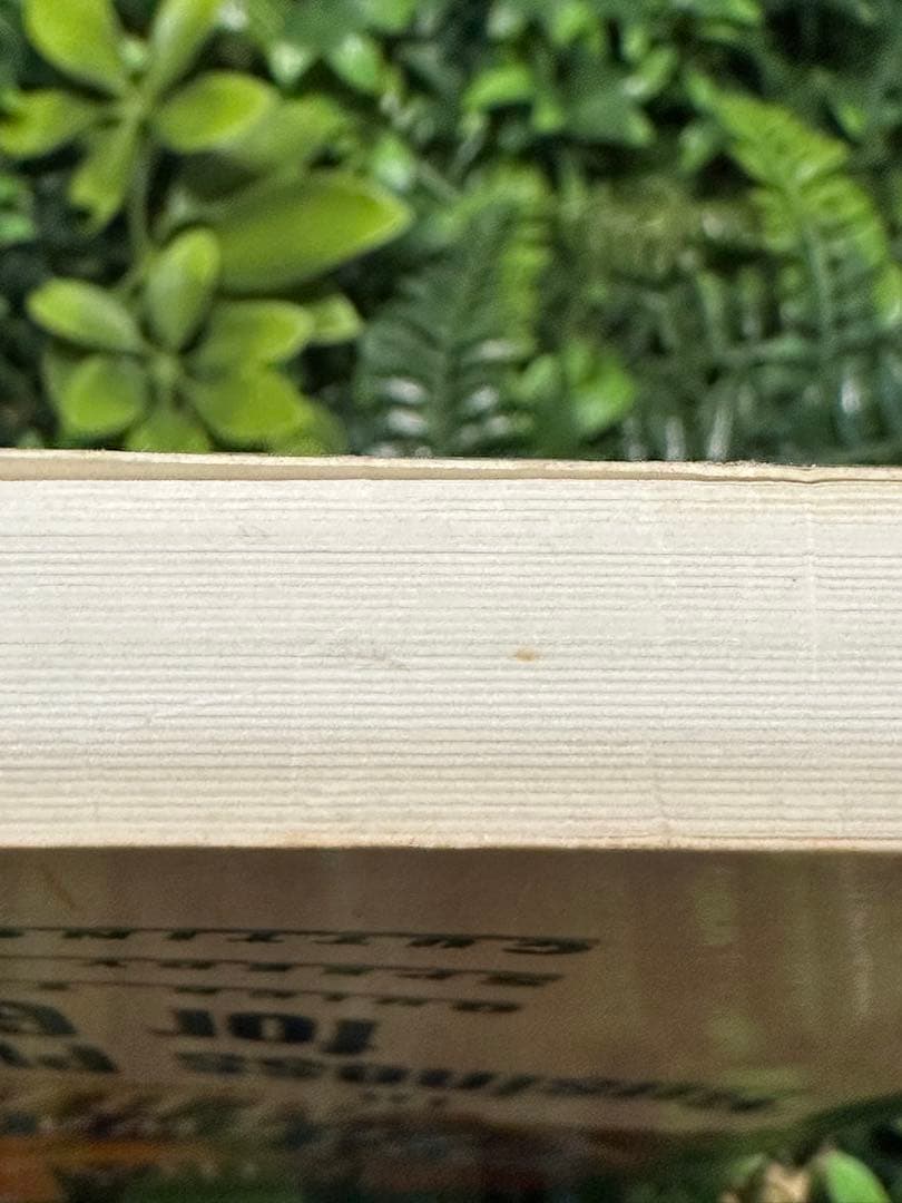 The Fast Forward MBA 経営戦略 洋書