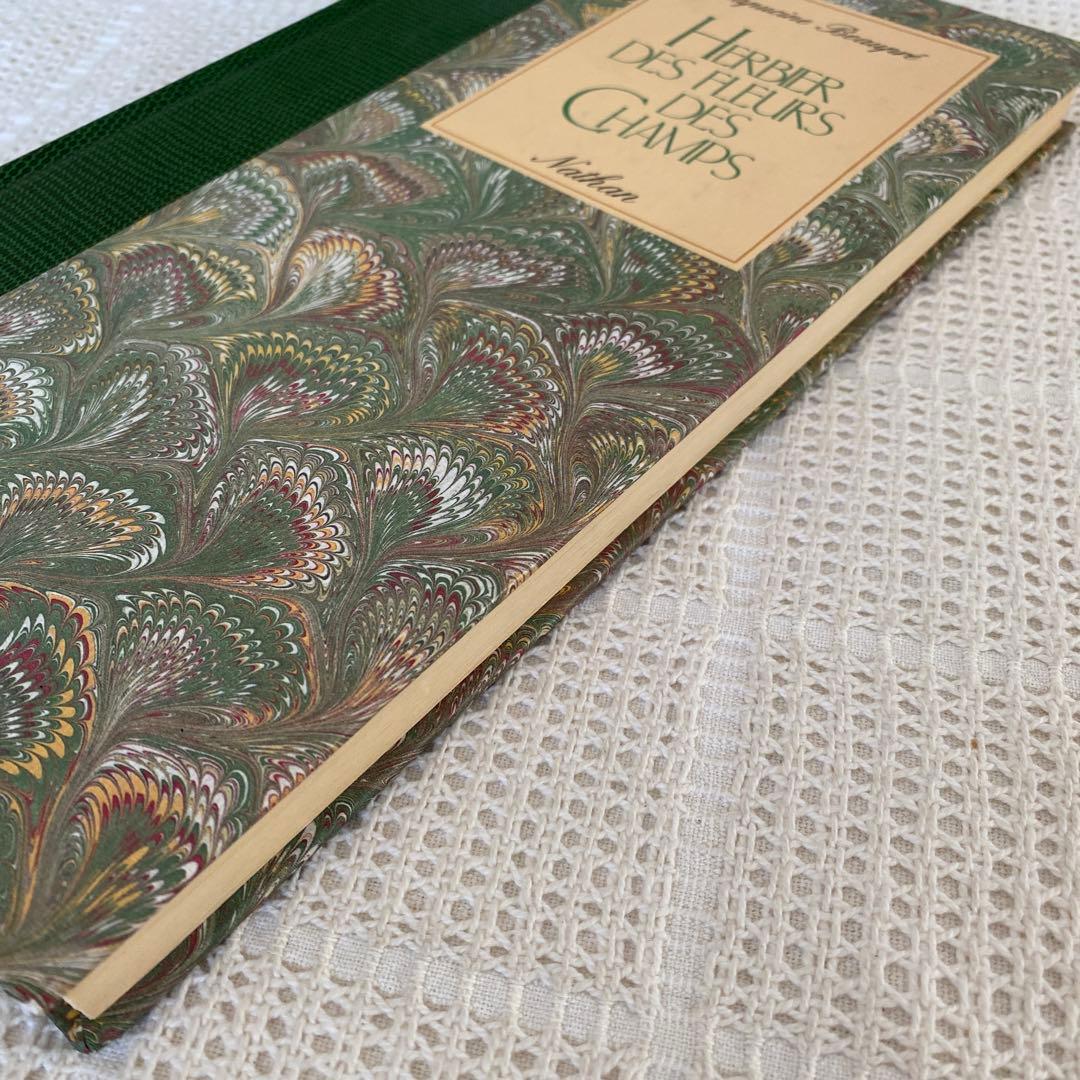 【希少】美品 フランス植物図鑑　洋書　古書