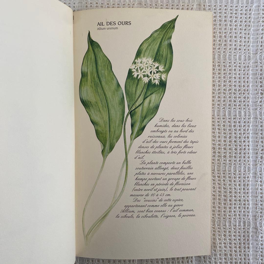 【希少】美品 フランス植物図鑑　洋書　古書