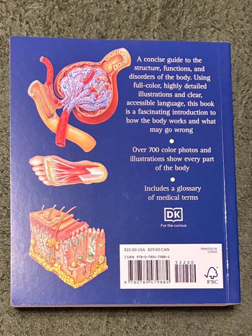 ⭐️ka プロフ必須 ⭐️医療系のための情報リテラシー＋HUMAN BODY