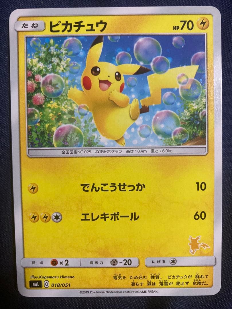ファミリーポケモンカードゲーム　サン&ムーン