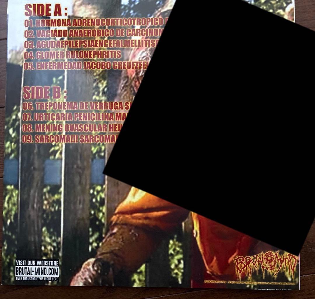 viscera infest 1st LP brutal mindレア