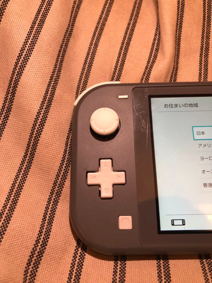 Nintendo Switch Lite グレー　本体のみ