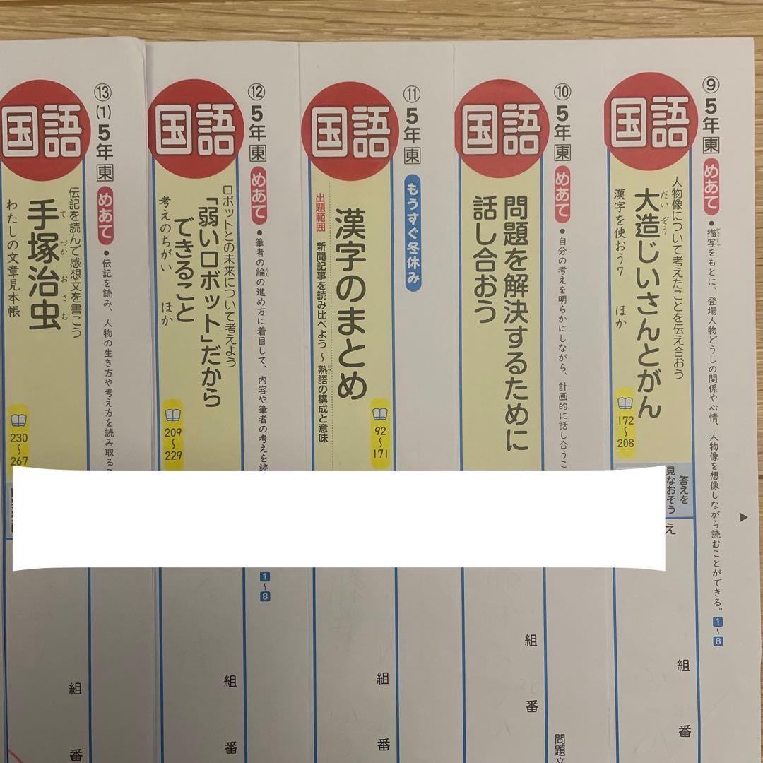 小学5年 国語　カラーテスト　令和7年度 　最新版　青葉出版　東京書籍　欠番なし