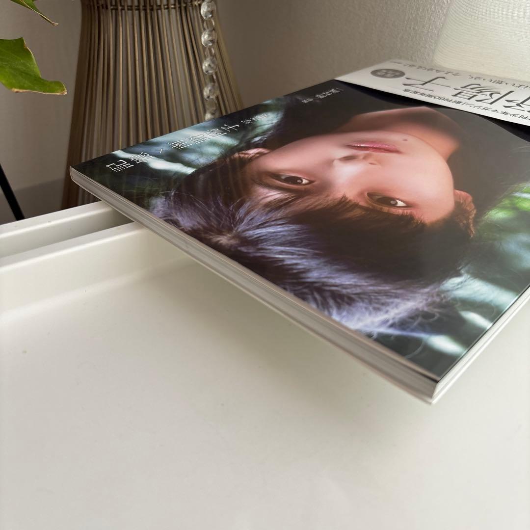 記憶×南野陽子 写真集