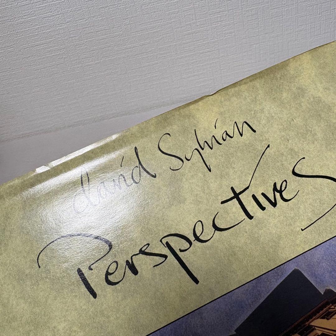 【洋書】デヴィッド・シルヴィアン Perspectives