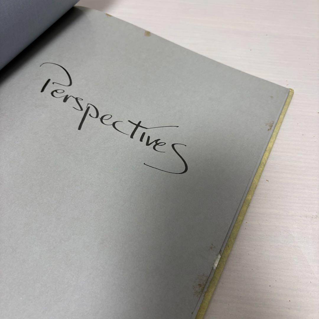 【洋書】デヴィッド・シルヴィアン Perspectives