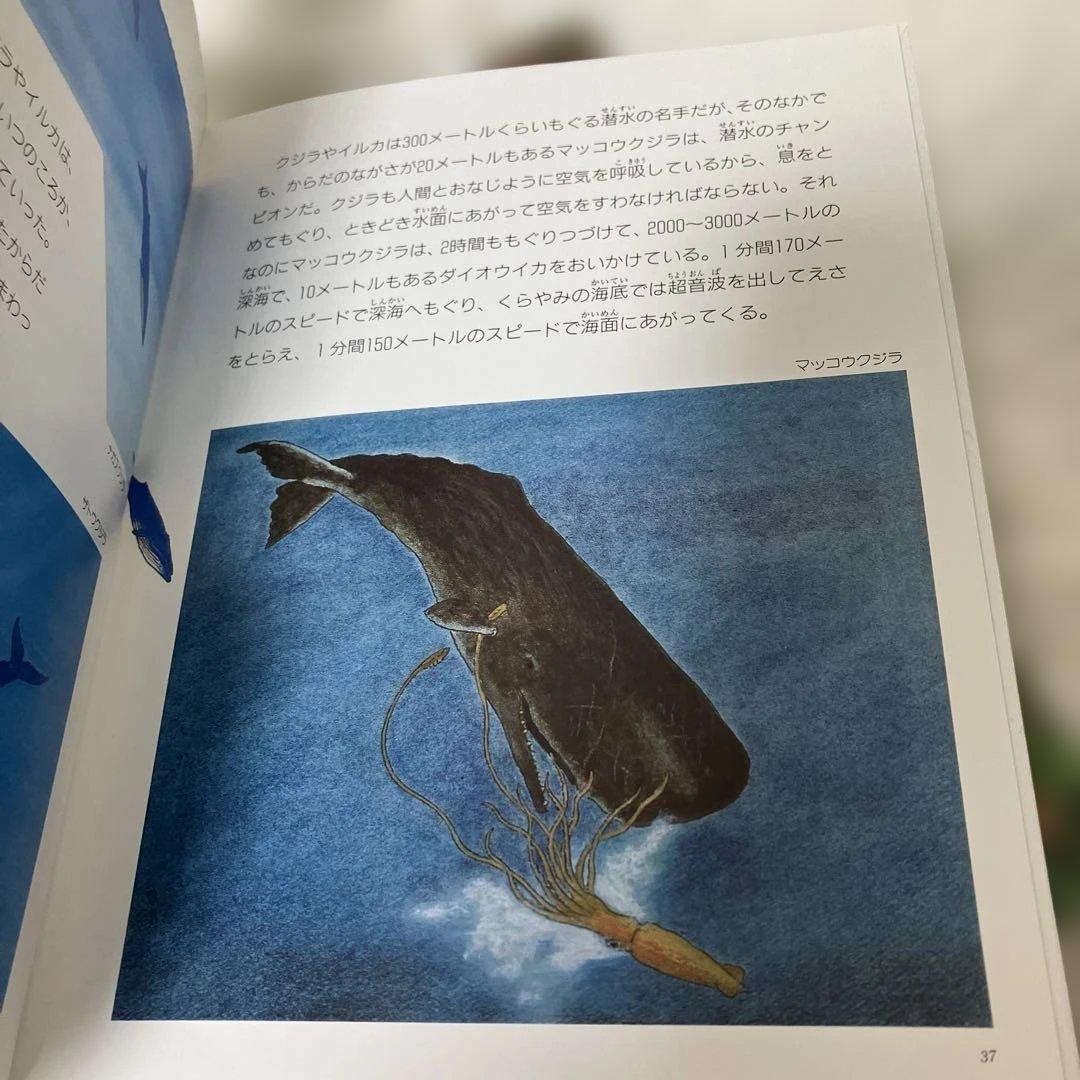たくさんのふしぎ傑作集　なぜまるい？　こおり　福音館