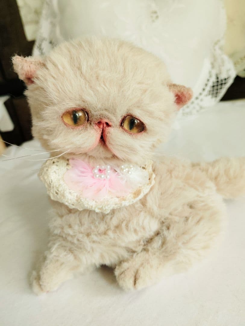 ちょっぴり癖っ毛♡ころころボディ♡エキゾチック子猫ちゃん♡アートドールぬいぐるみ
