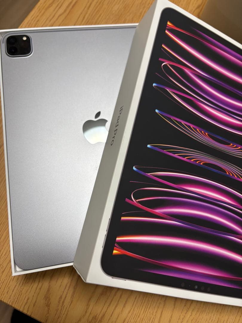 Apple iPad Pro（11インチ）（第4世代） 本体 箱あり！充電100