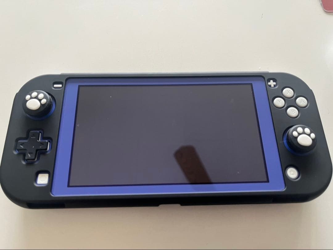 9*8様 【美品】Nintendo Switch Lite 本体 SDカード25