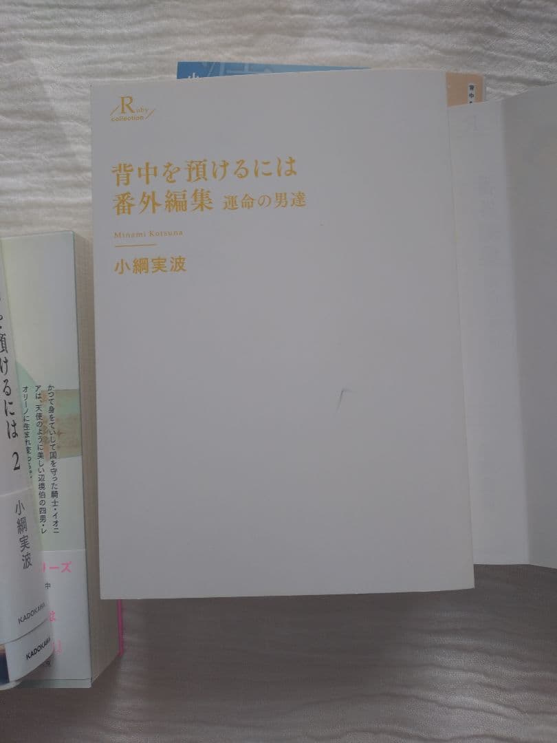 BL 小説 背中を預けるには 完結全5冊 特典つき