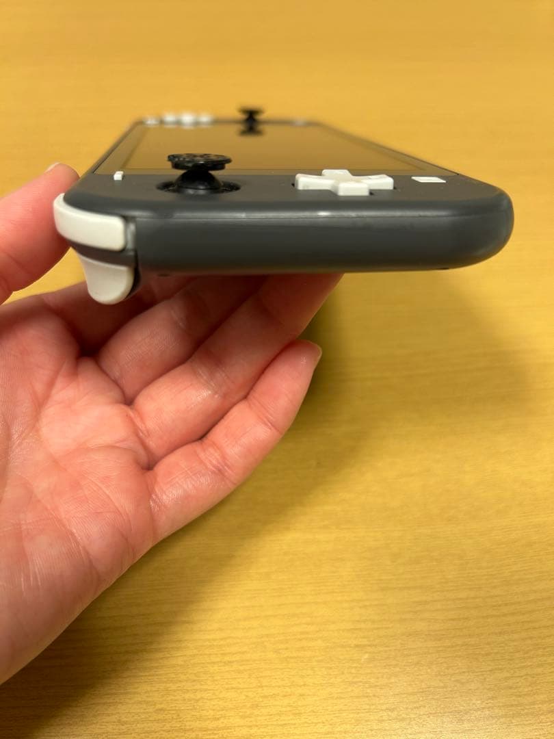 Nintendo Switch Lite 本体 動作確認済み スティックやや不良