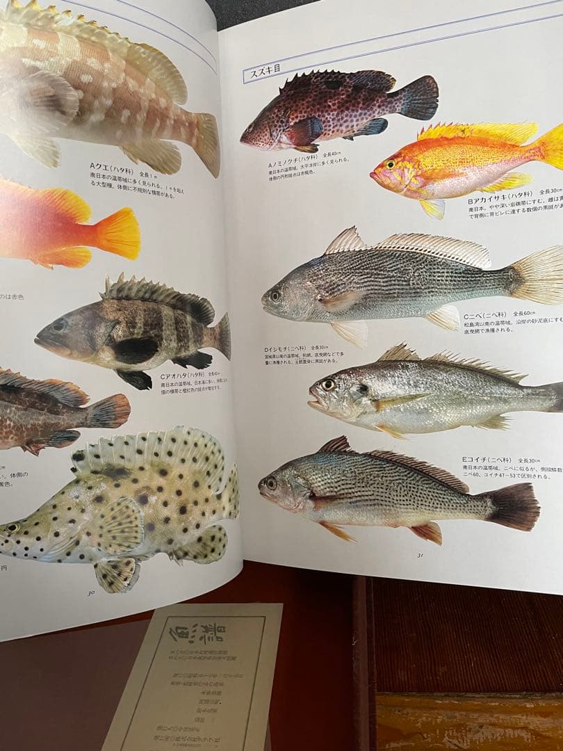 日本料理　魚器図館　捌き方、魚器種類 　　志の島忠　グラフ社刊