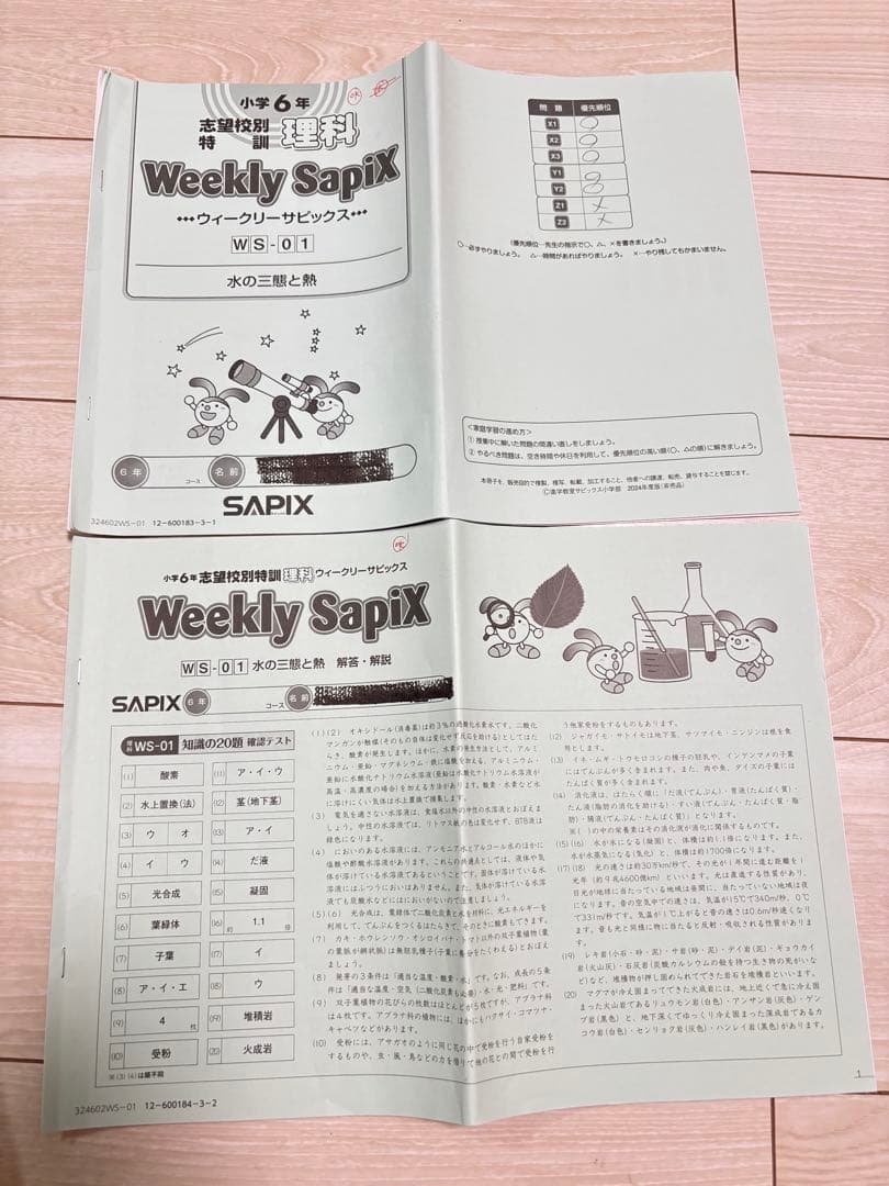 【最新】Sapix 2024年度 6生 理科1年分
