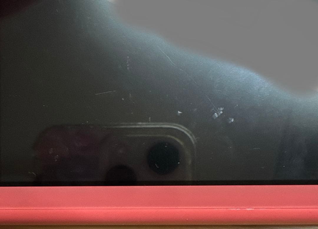 NintendoSwitchLite 本体