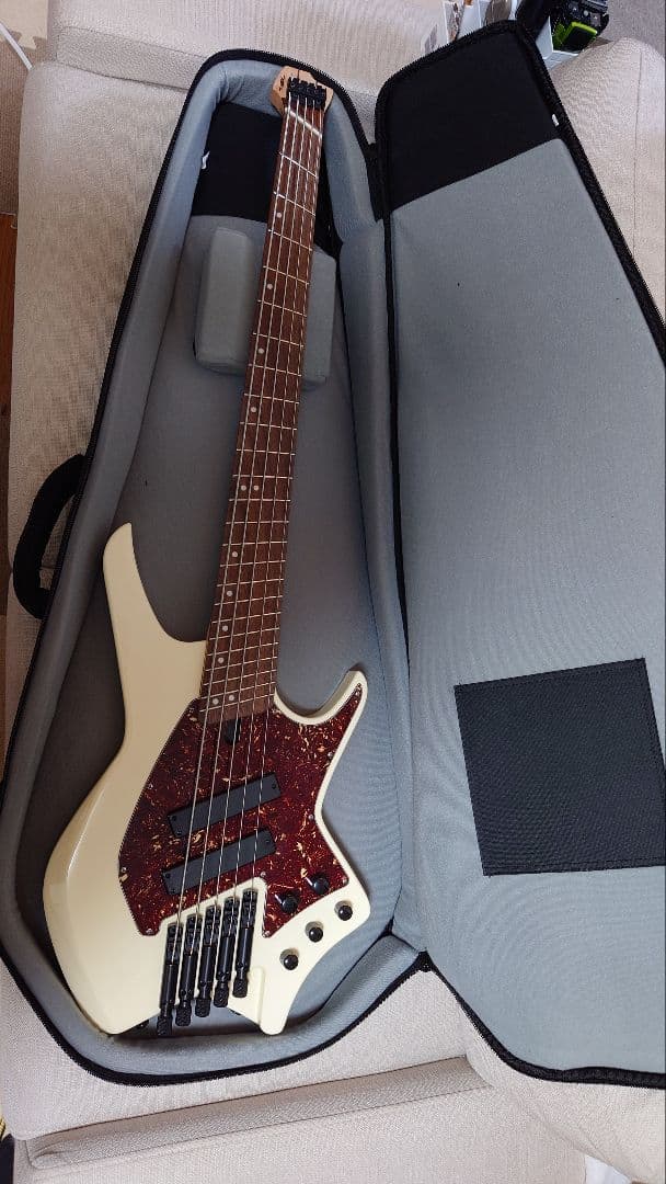 HEX Guitars NB505　Ivory