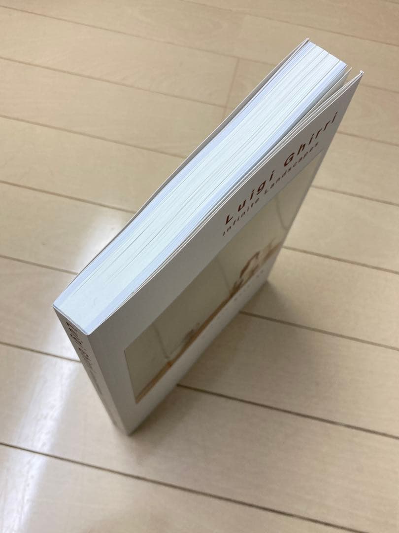 Luigi Ghirri ルイジ・ギッリ 終わらない風景 図録 東京都写真美術館