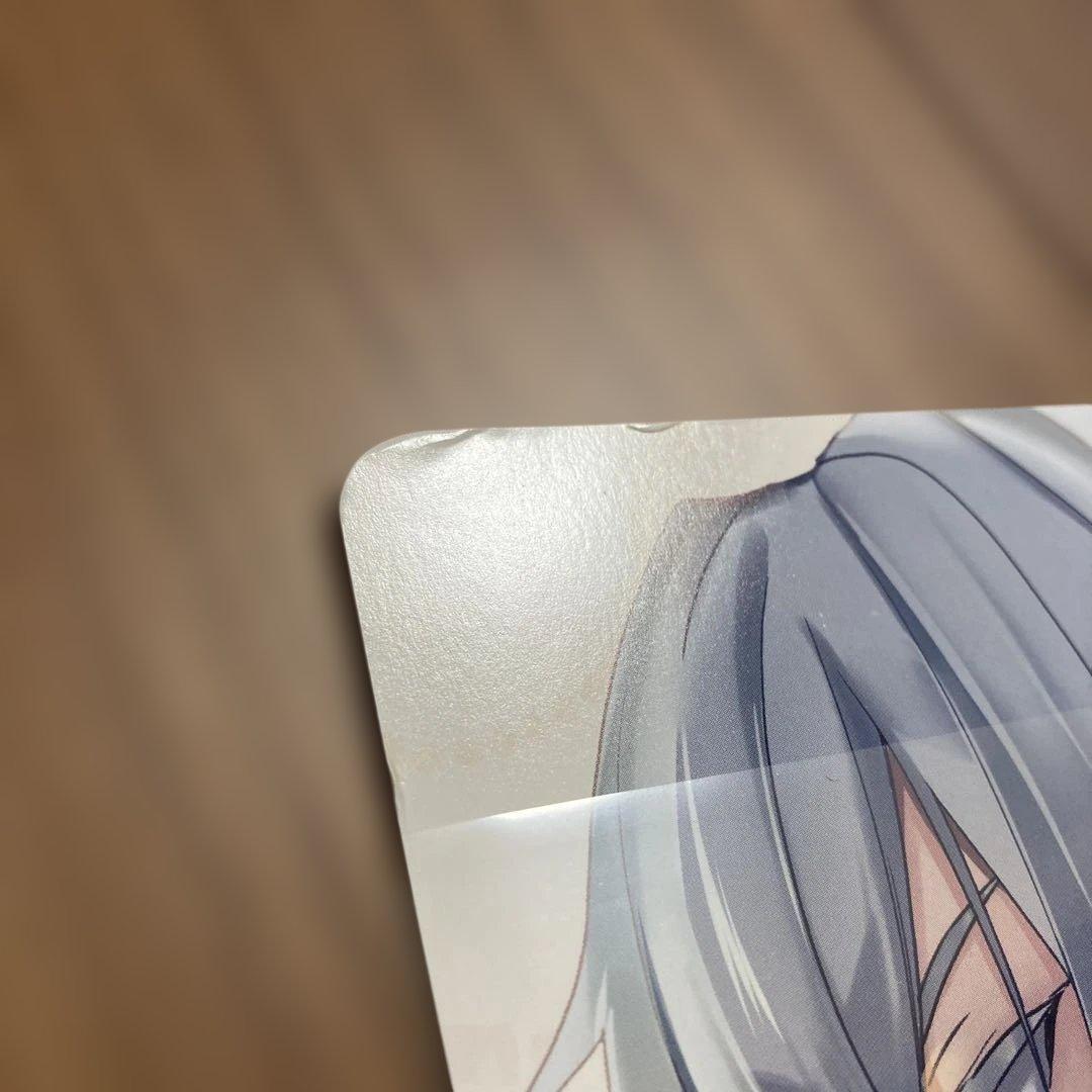 どうせ捨てられるのなら、最後に好きにさせていただきます　特典のみ