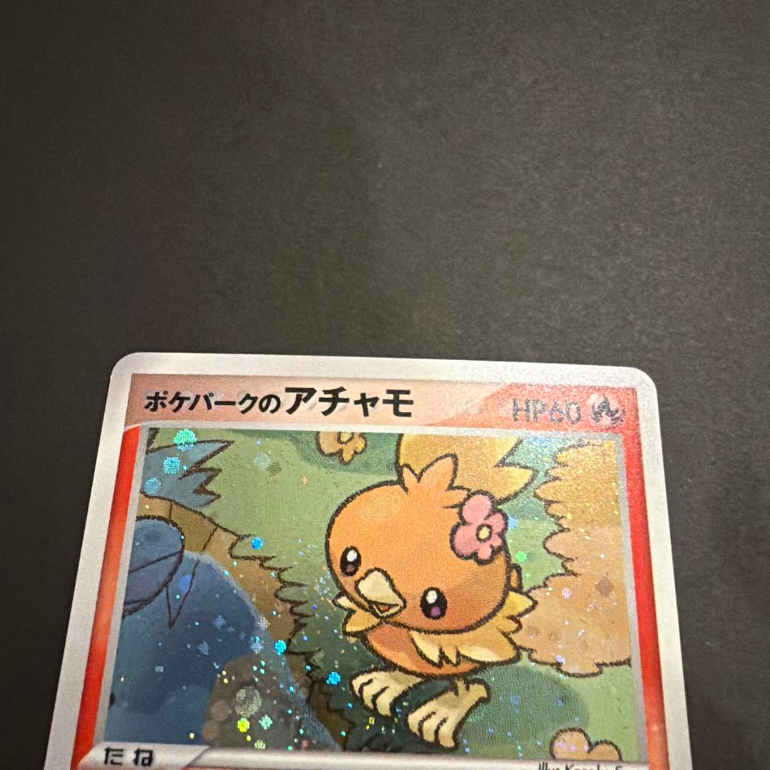 ポケパークのアチャモ　002/009