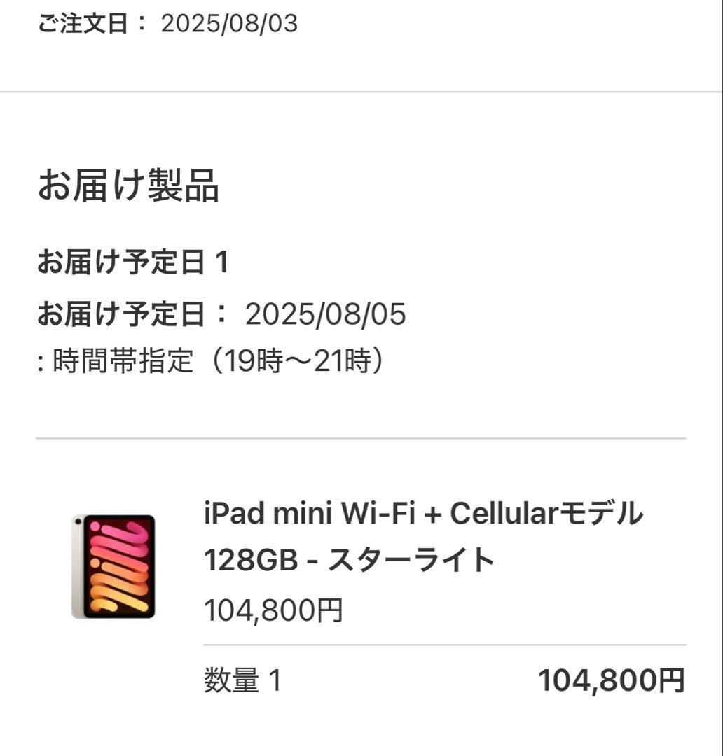 ipad mini 第7世代 Wi-Fi+Cellular 128GB 本体
