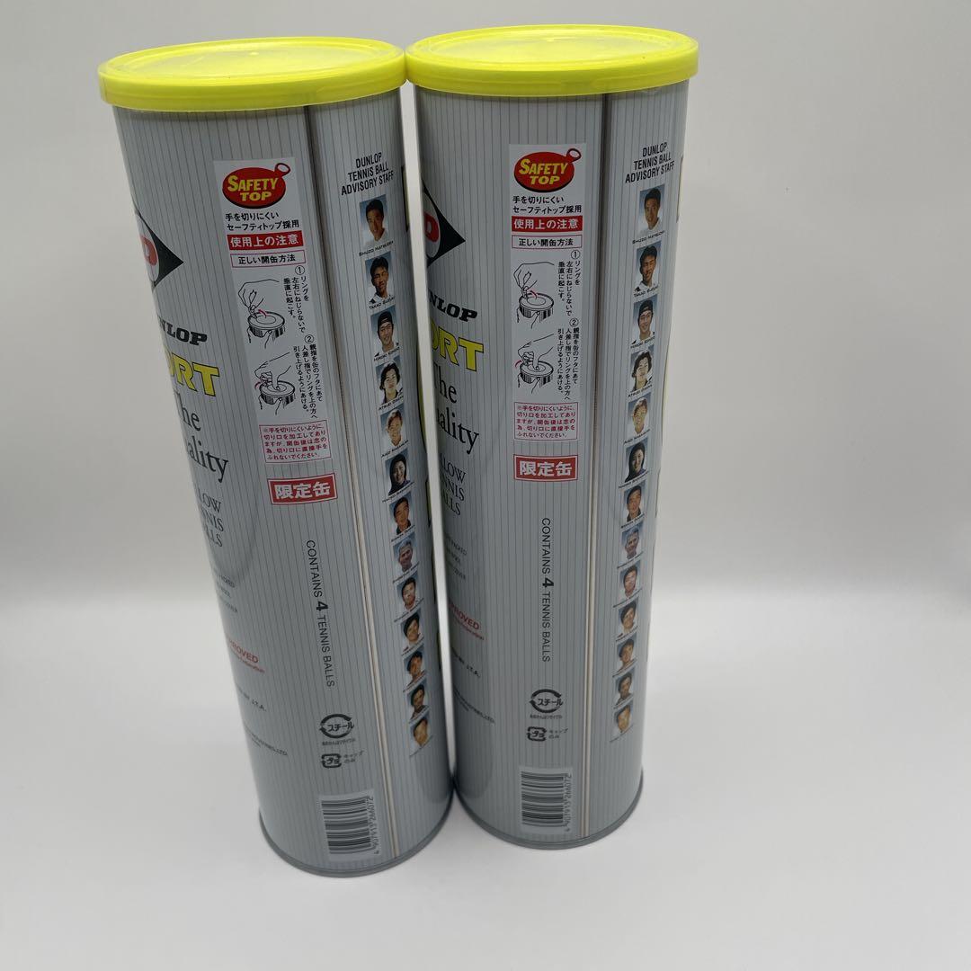 【未開封】DUNLOP ダンロップフォート4個入り テニスボール 硬式用 限定品