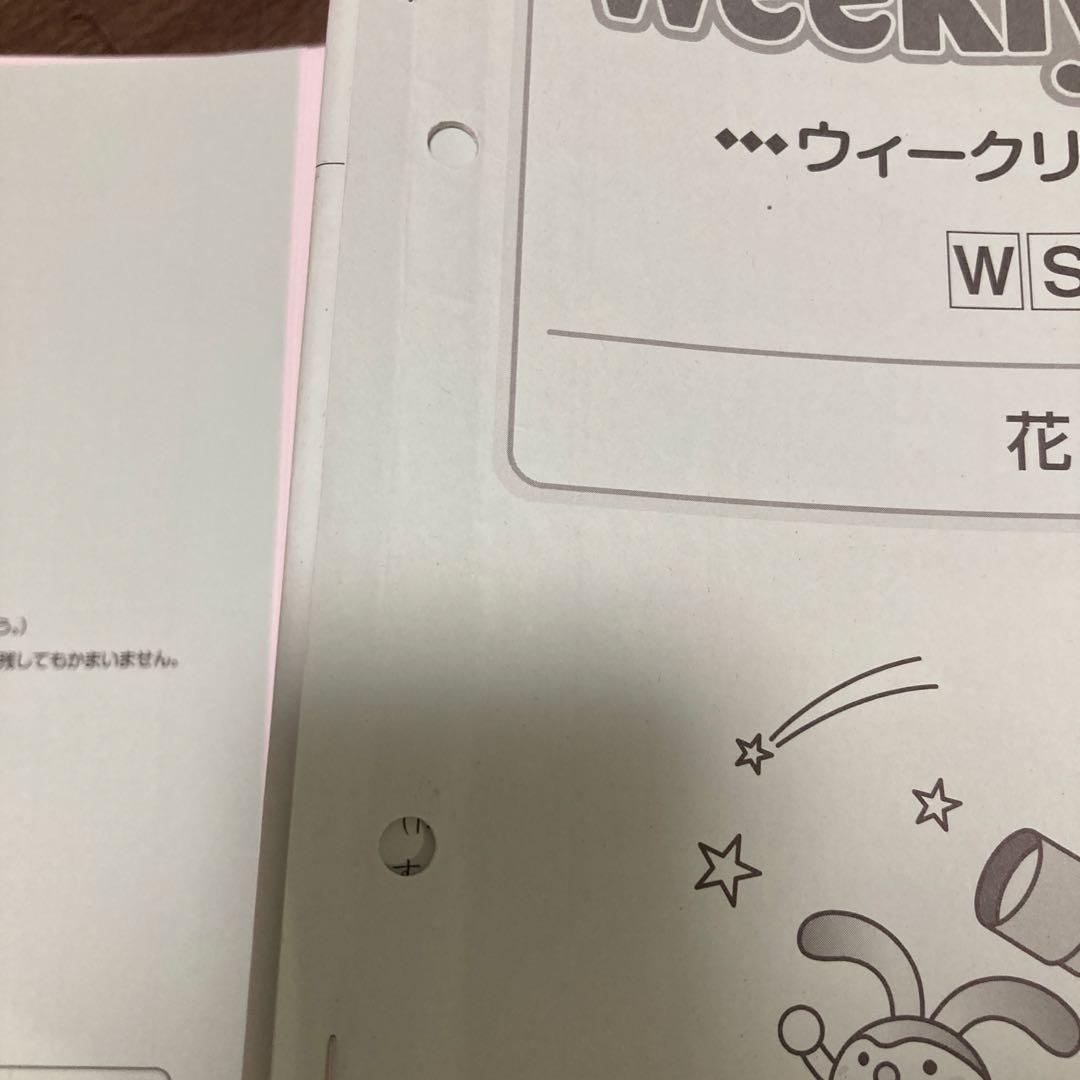 サピックス6年　理科　GS SS特訓　時事演習XYZ 夏期集中錬成 ウィークリー