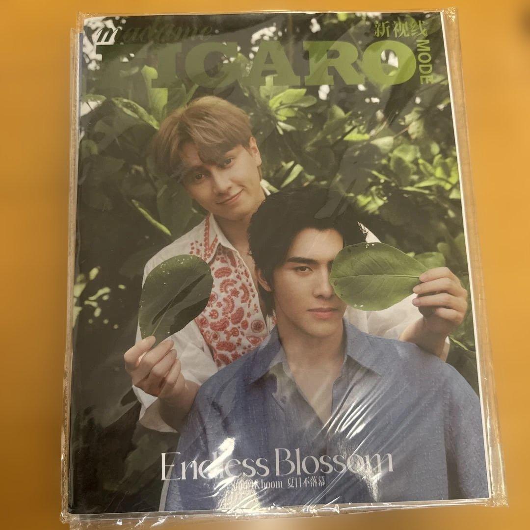 SmartBoom 雑誌3冊 特典カード付