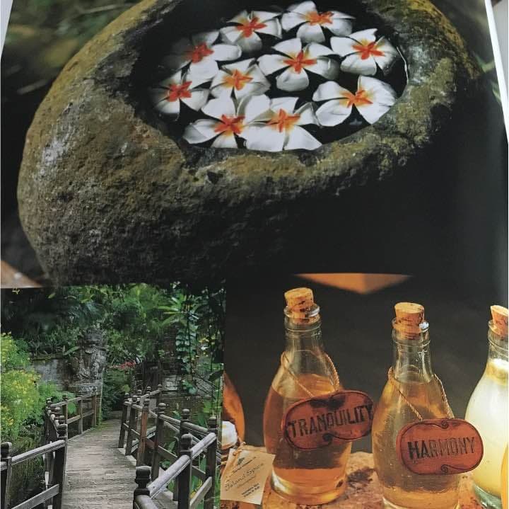 洋書 the tropical spa