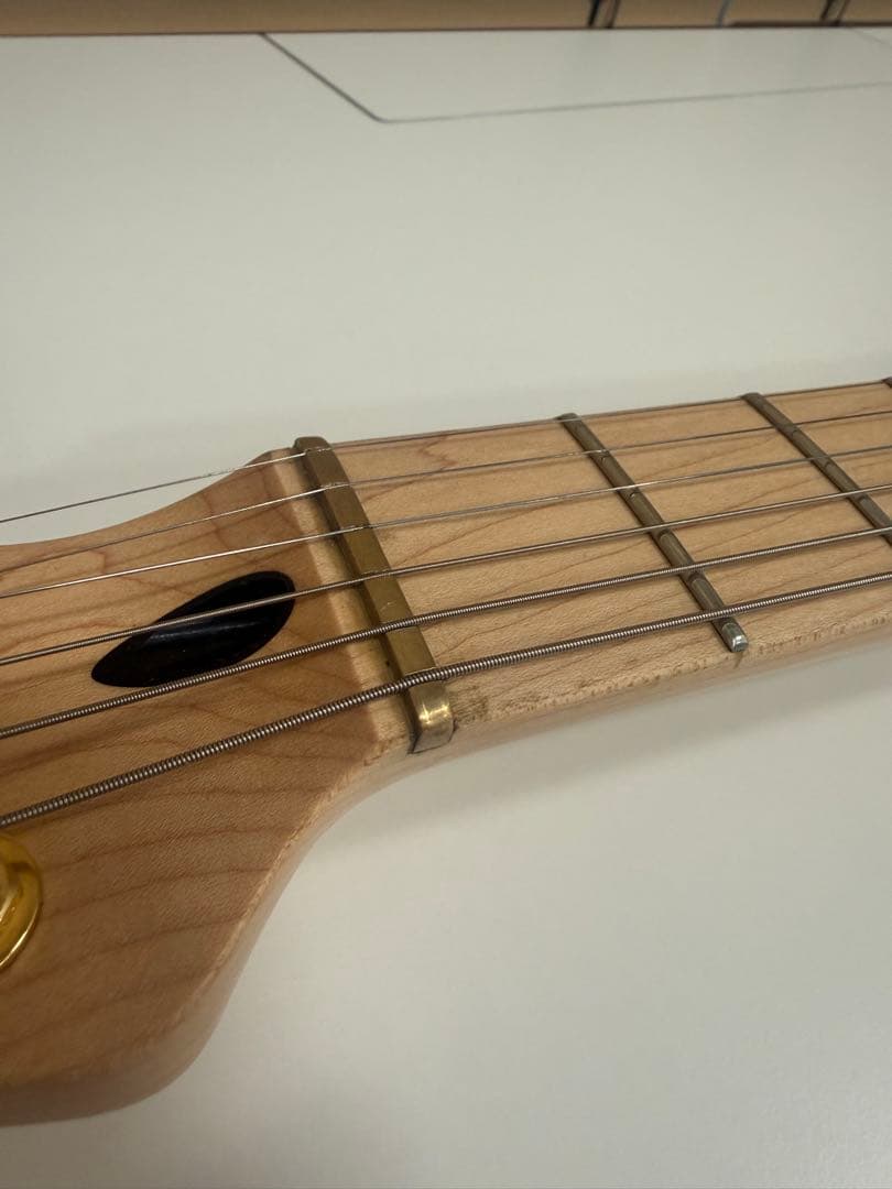 ギター Fender Telecaster Richie Kotzen TLR